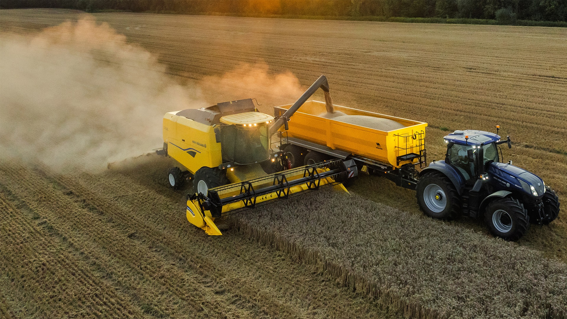 Mietitrebbie TC STAGE V