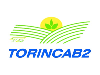 Torincab